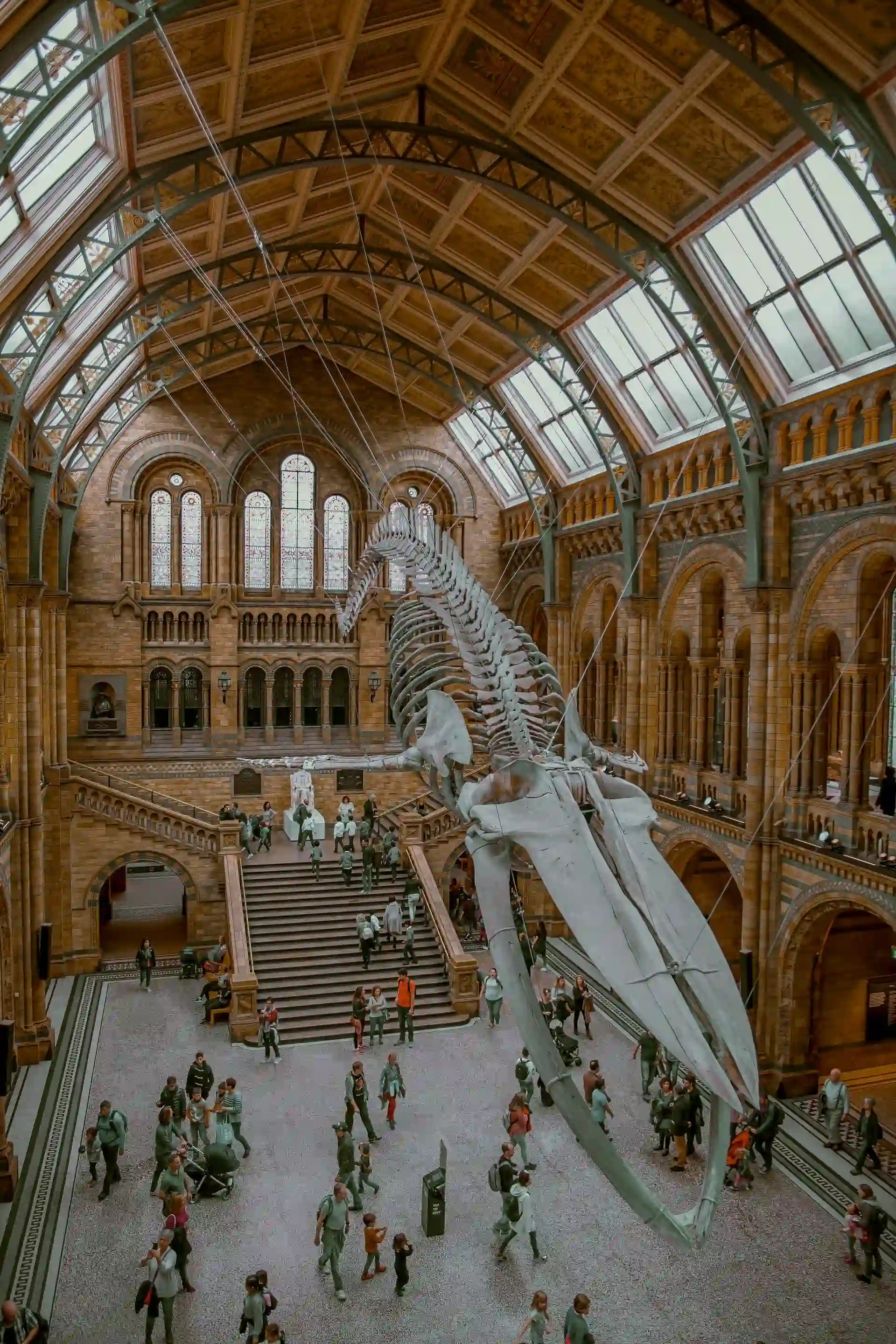 Museum exhibition hall with skeleton display