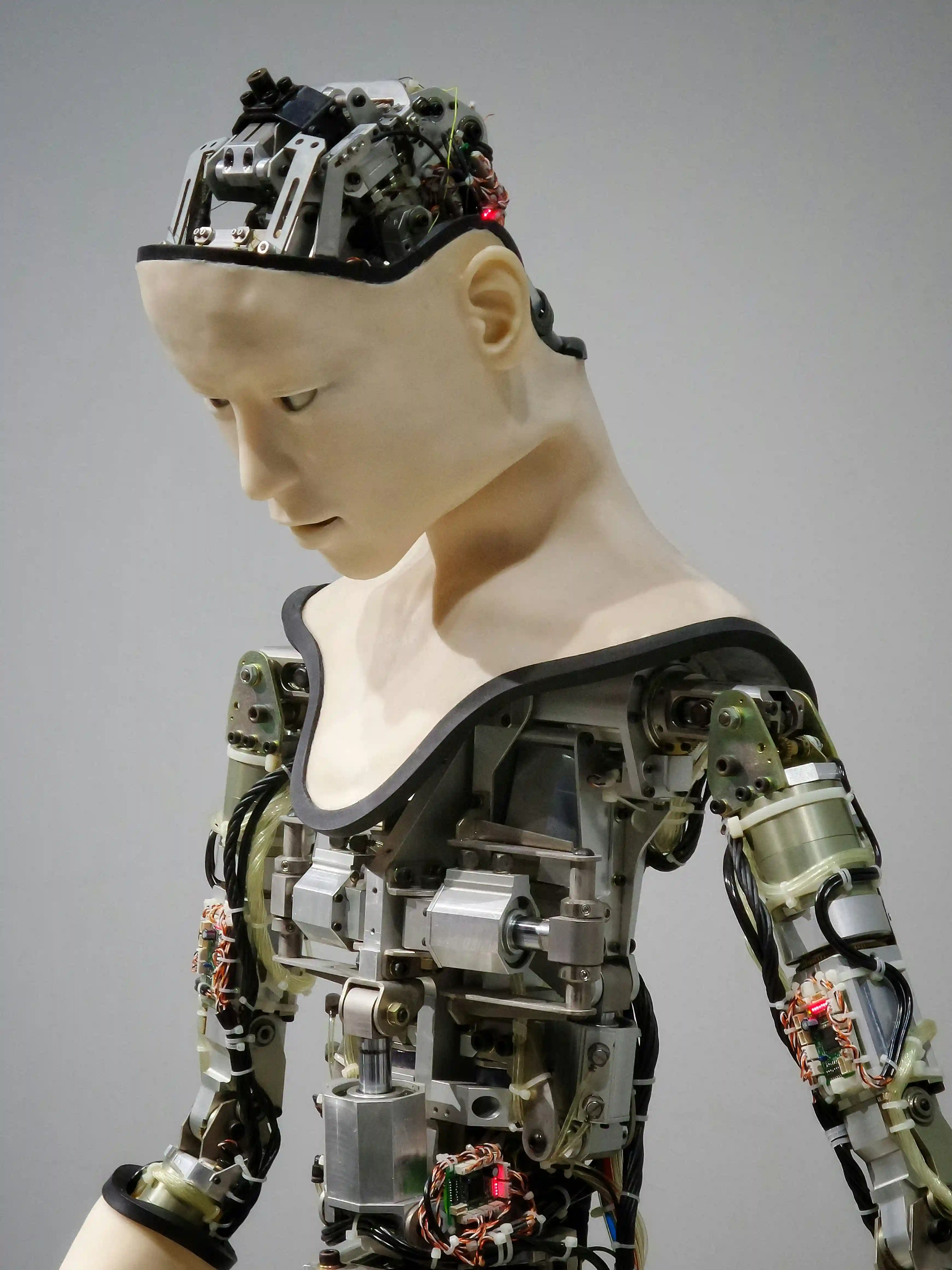 Humanoid robot torso with exposed mechanical parts on display in the Robotics and AI exhibition